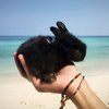 Круиз по 9 островам — фото 10